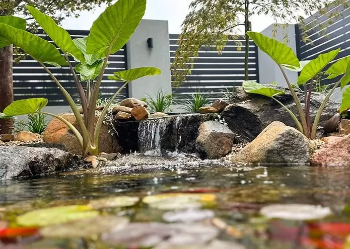 Water Features Water Features