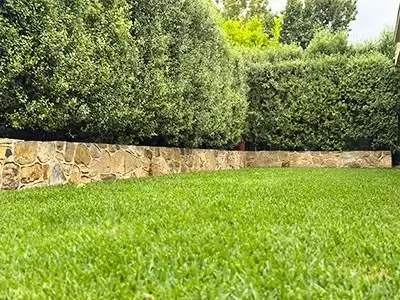 Turf and Irrigation Turf and Irrigation