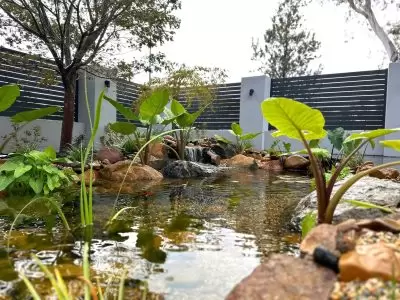 in-depth-landscape-construction-aquascaping In-Depth Landscape Construction Aquascaping
