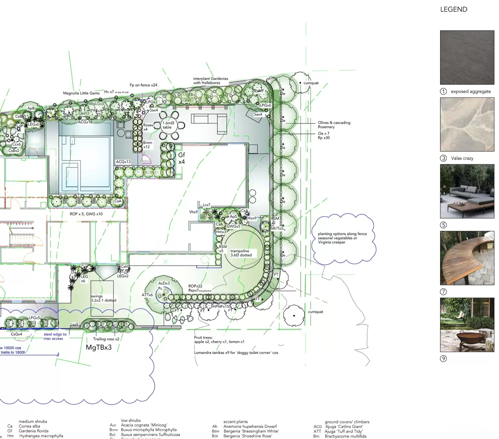 Planting plan with frost-hardy species selected for the Canberra climate