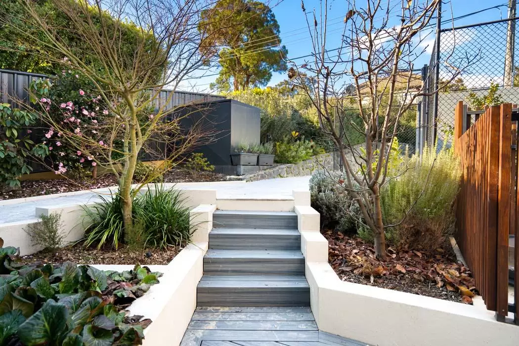 Steps between rendered garden walls with native planting and a garden path