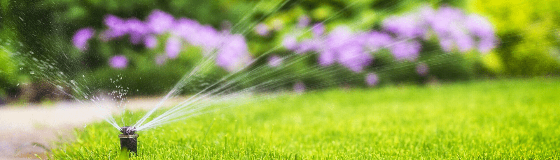 Turf & Irrigation Canberra InDepth Landscape Construction Canberra