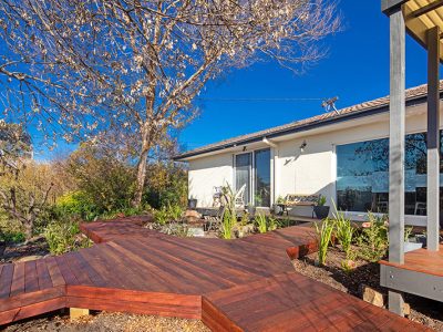 In-Depth-Hawker-Project-decks