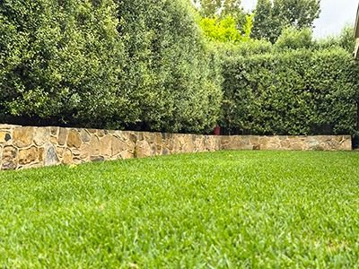 Turf and Irrigation Turf and Irrigation